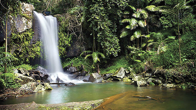 Visit Tamborine Mountain