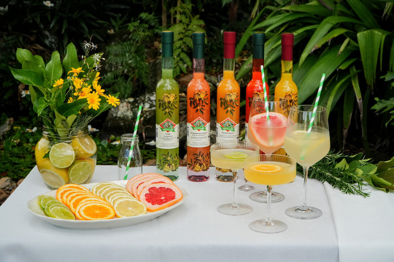 Citrus Spritz Party: Easy Citrus Cocktails for Any Gathering