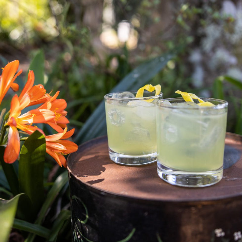 Lemon Myrtle Sour