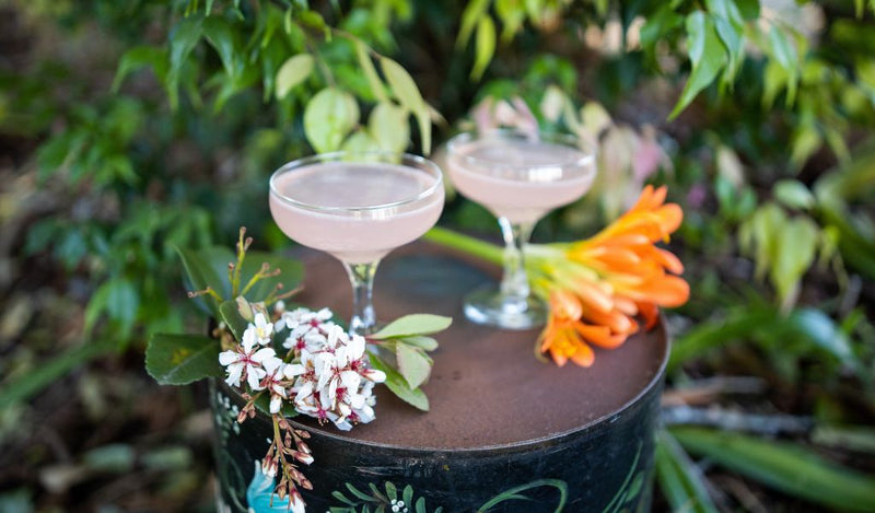 A Taste of Home: Discovering Australian Botanicals