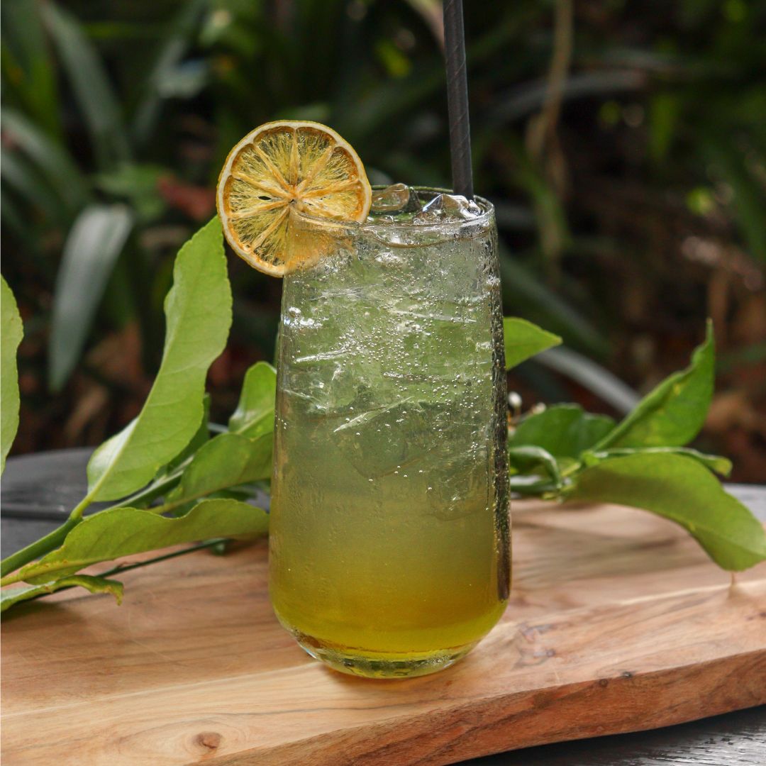 Down Under Zest cocktail in a tall glass with ice, made with TMD Australian Herbal Liqueur, Lemon Myrtle Vodka, Bush Limoncello, fresh lime juice, topped with soda water, and garnished with a lime wedge.