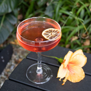 Hibiscus Cosmo