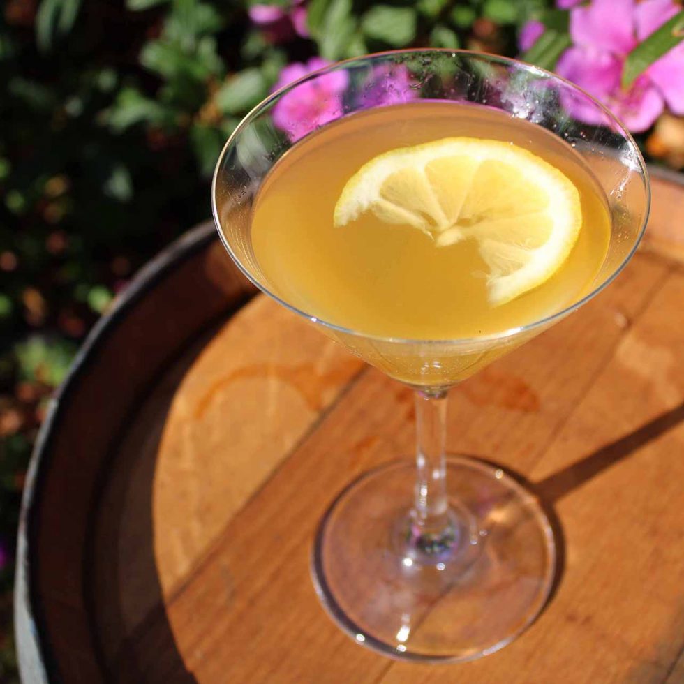 Golden Fleece cocktail with Eucalyptus Gum Leaf Vodka, Macadamia Nut Liqueur, pineapple and lemon juice, served in a martini glass with lemon zest garnish.