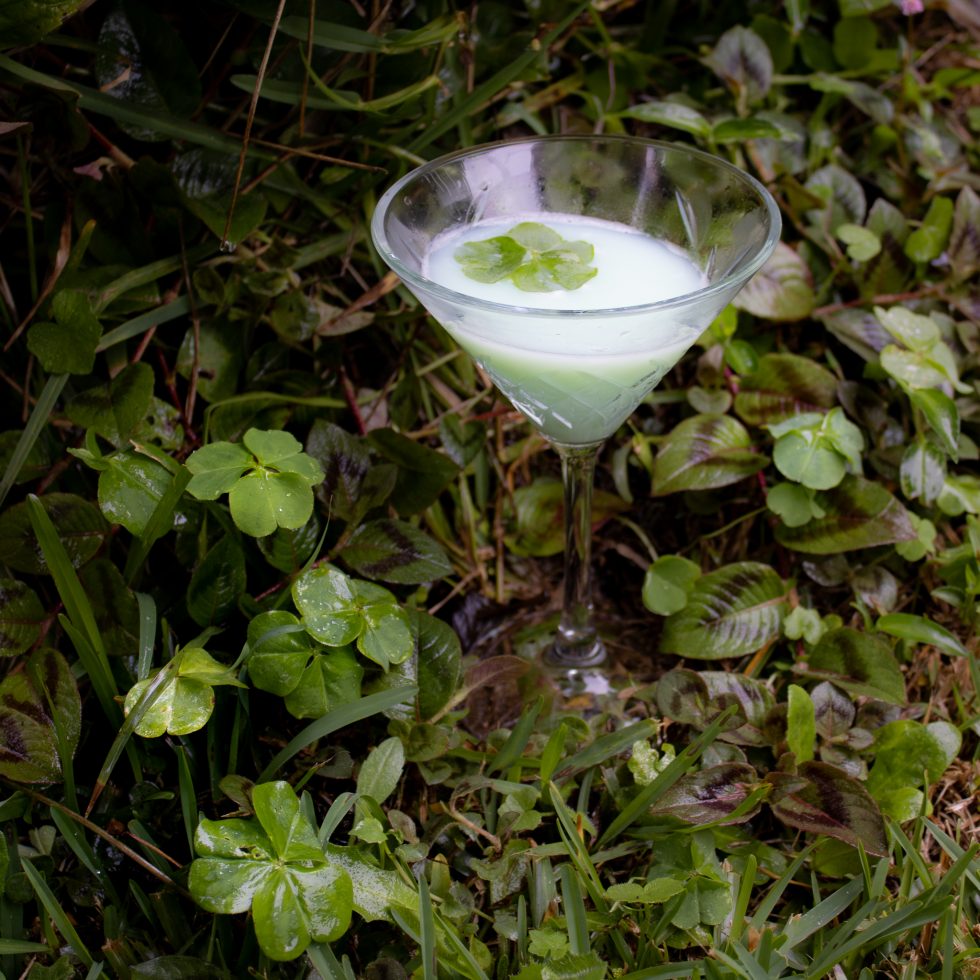 Irish Fairy cocktail in a chilled glass with frothy egg white, made with TMD Moulin Rooz Absinthe, Australian Herbal Liqueur, and mint liqueur